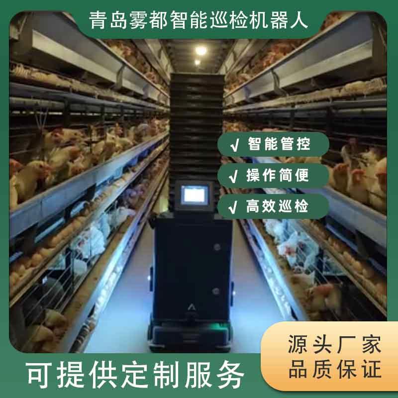 智能養(yǎng)雞巡檢機(jī)器人 革新家禽養(yǎng)殖管理的科技新星
