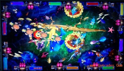 揭秘龍翔天下打魚機(jī)與1000炮打魚機(jī)價(jià)格 動(dòng)漫游戲開發(fā)的機(jī)遇與挑戰(zhàn)